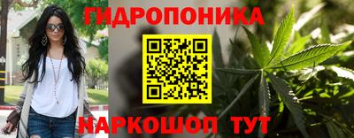 СК Можга