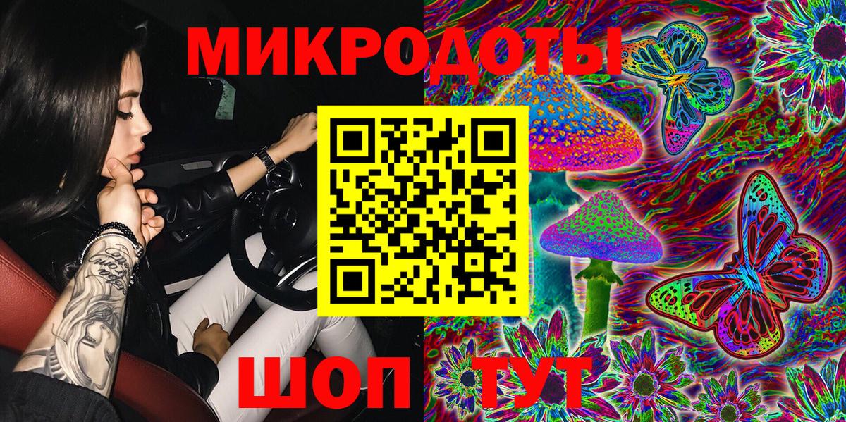 Псилоцибиновые грибы Psilocybine cubensis Владивосток